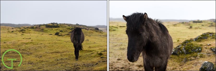 Iceland
